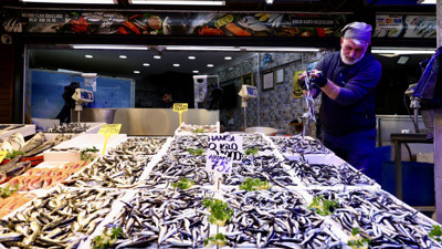 Balıkçılarda hamsi bolluğu sürüyor