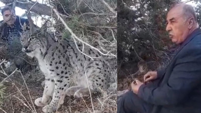 Nesli tehlike altında! Vatandaşlar cep telefonuyla görüntüledi