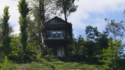 Hayalleri gerçek oldu: Çöpten ağaçkondu yaptılar