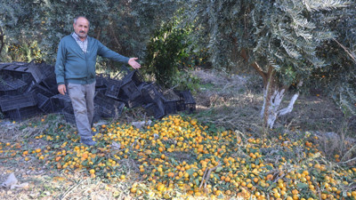 Afet onları teğet geçti ama tonlarca ürün elde kaldı: Bedava dağıttılar