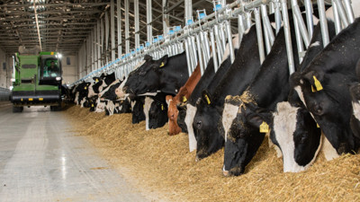 Bir tesis kapanacak, bölgede yaşayan her üç kişiden biri işsiz kalacak
