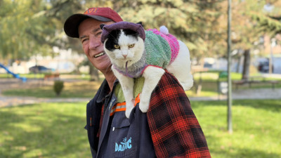 Sokaktan aldı, birlikte 65 şehir gezdiler: Omzundan inmiyor