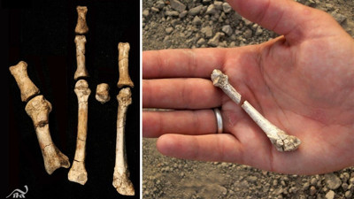 3.4 milyon yıllık ayak fosilinin gizemli sahibi bulundu