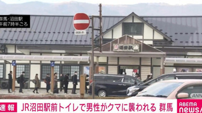 Umumi tuvaletten çıkan adama ayı saldırdı