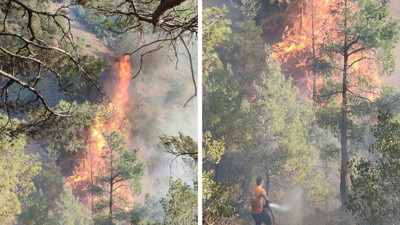 Hatay'da orman yangını