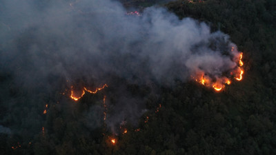 Artvin’de örtü yangını