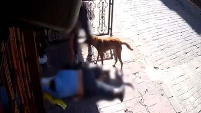 'Pes' dedirten olay! Sara nöbeti geçiren kişinin telefonunu çaldılar