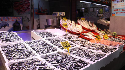 Trabzon’da hamsi fiyatı bir günde yüzde 50 arttı: “Daha da artacak”