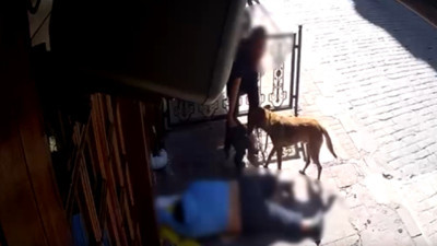 Köpeğini gezdiriyordu, yerde uyuyan adamı soydu