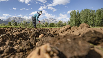 Tarımda 24 yılın dibi görüldü