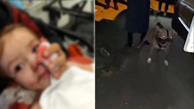 2 kardeşe saldıran pitbull daha önce 12 kez şikayet edilmiş