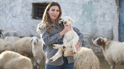 İstanbul'dan köyüne döndü, 3 yılda sürüsünü 4'e katladı