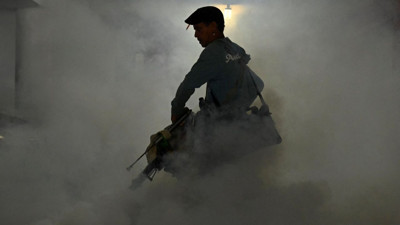 Küba'da sivrisinek alarmı: 33 kişi öldü