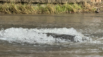 Bodrum’da yine aynı hat patladı: Evler sular altında kaldı