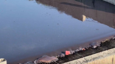 Haramidere'de ürküten manzara