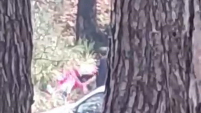 Ormanda darbedilen kadın çığlık çığlığa yardım istedi