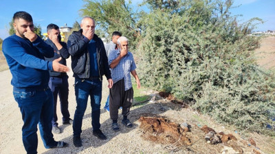 Adana ayakta: Bulun onu