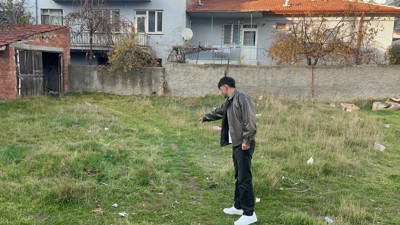 Kedi katliamı: İşkence yaparak öldürdüler