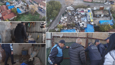 İstanbul'da at kesilen depoya baskın! Mide bulandıran itiraf