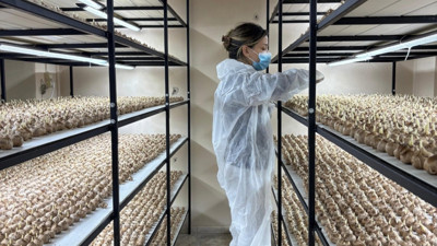 Mali müşavirliği bırakıp üretime başladı: Gramı 700 TL