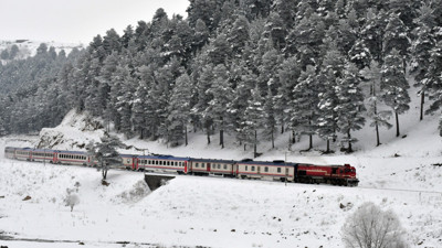 Kars’ta kış masalı! Sarıkamış ormanları karla başka bir güzelliğe kavuştu