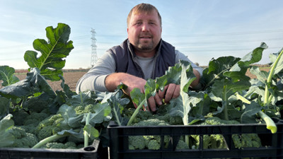 Tarladan pazara fiyatı üçe katlanıyor