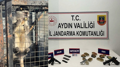 Eve düzenlenen operasyonda ruhsatsız silah ve maymun bulundu