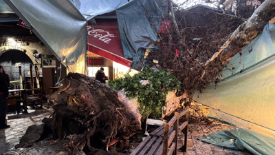 İzmir'de 5 asırlık çınar ağacı devrildi