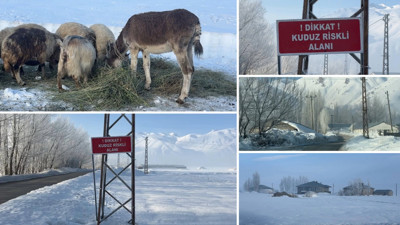Eşekte kuduz tespit edildi, köy girişine tabela asıldı