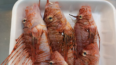 Satışı yasak ama yok satıyor: Kilosu 400 liraya dayandı