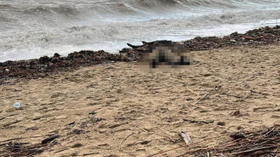 Sarımsaklı’ya kadın cesedi vurdu