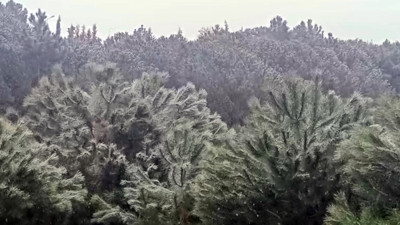 İstanbul’da kar yağışı başladı