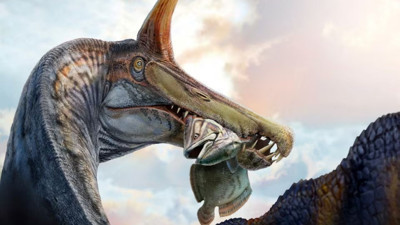 Çölün ortasında şaşırtan dinozor keşfi