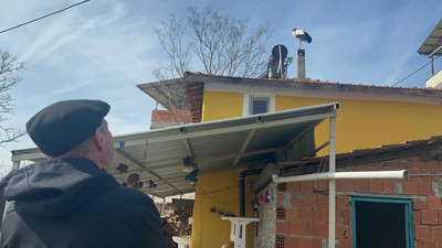 Yaren gelmeden eşi geldi! Leylek Köyü’nde erken heyecan