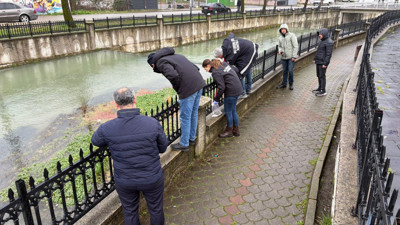 Binlerce balık öldü, ekipler harekete geçti