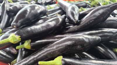 Patlıcanın tadını kaçtı...