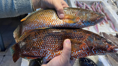 Her zaman tezgahta olmuyor: Kilosunu 700 liraya satıyorlar