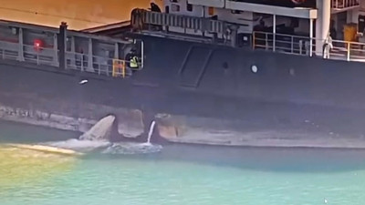 Denizi kirleten gemiye 13 milyon lira ceza