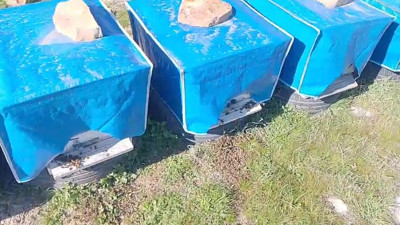 Yüzlerce arı kovanların önünde ölü bulundu