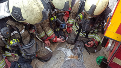Paytak ve Şanslı kalp masajıyla hayata döndürüldü