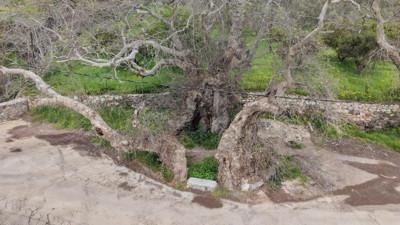 Bodrum’da tesadüfen keşfedildi! 2 bin yaşında
