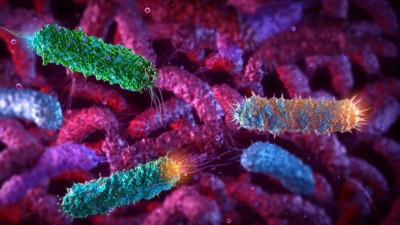 Meme kanseriyle mücadelede bakteri kullandılar