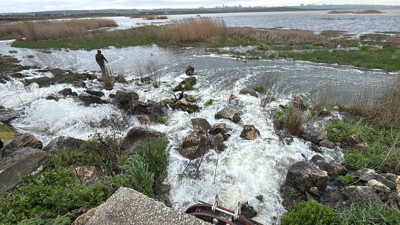 Büyükçekmece Gölü’nde su çekildi, balıklar kıyıda kaldı