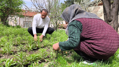 Litresi 5 bin euro: 200 bin ile başladı, 450 bine ulaştı