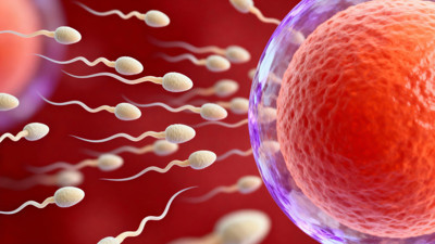 Bilim insanlarından erkek doğum kontrolünde önemli adım