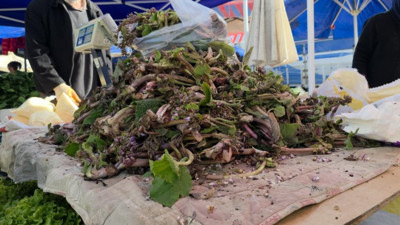 Kendi kendine yetişiyor, pazarda yok satıyor: Fiyatı 100 liraya dayandı