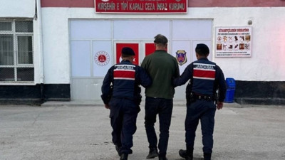 Sokak köpeğini vurdu, tutuklandı