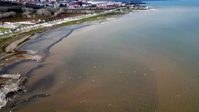 Van Gölü’nde şaşırtan renk değişimi: Kıyılar kahverengiye döndü