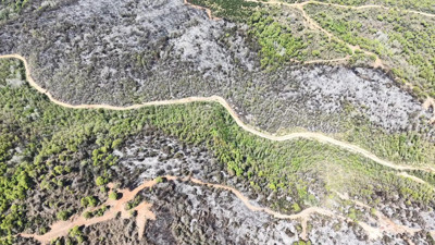 Beykoz'da orman yangını sonrası zarar gören alanlar görüntülendi