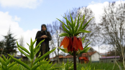 Ağlayan gelinler 5 yıl sonra açtı: Dokunanlar pişman oluyor